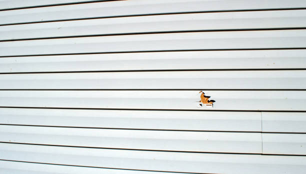 Best Steel Siding Installation  in North Lima, OH
